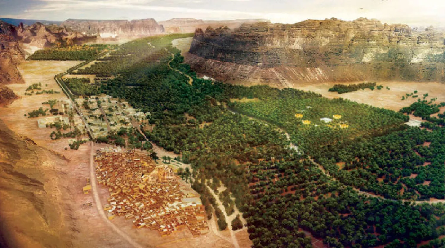 واحة العلا — نخيل ومجارٍ مائية